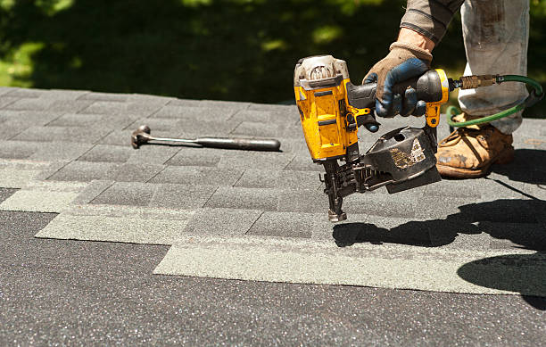 Best Roof Gutter Cleaning  in Lauderdale Lakes, WI