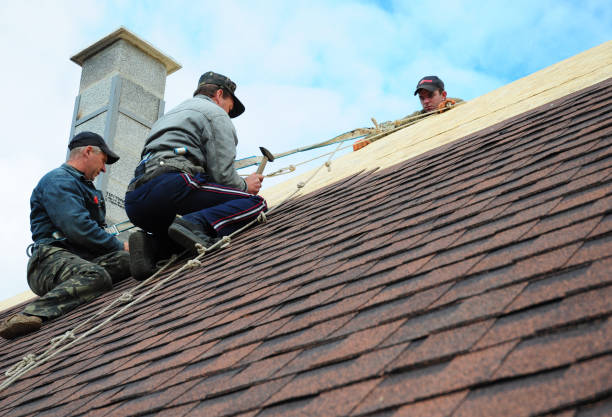 Best Roof Inspection Near Me  in Lauderdale Lakes, WI